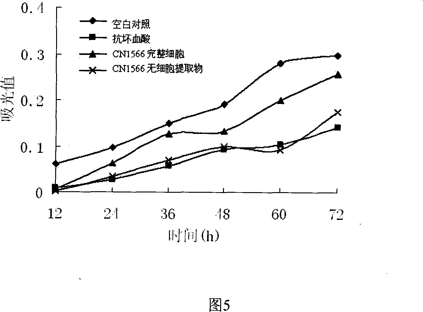 Oxidation resistant Lactobacillus casei capable of resisting hydrogen peroxide and eliminating free radical, and use thereof