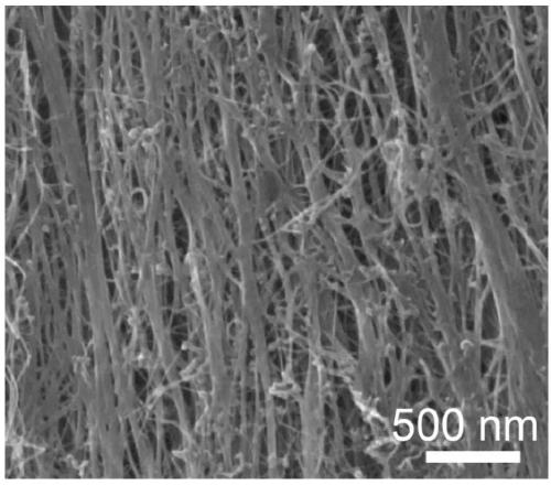 High-performance carbon nanotube/carbon composite fiber and rapid preparation method thereof