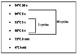 Detection method for human erythrocyte rare blood type genotype and detection kit