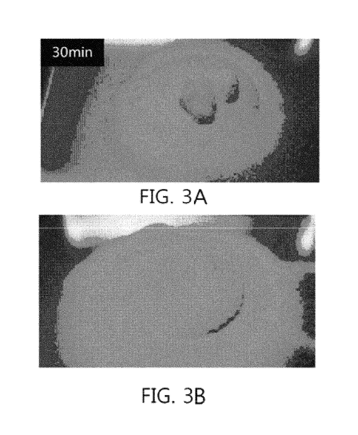 Super absorbent resin having improved solidification resistance, and method for preparing same