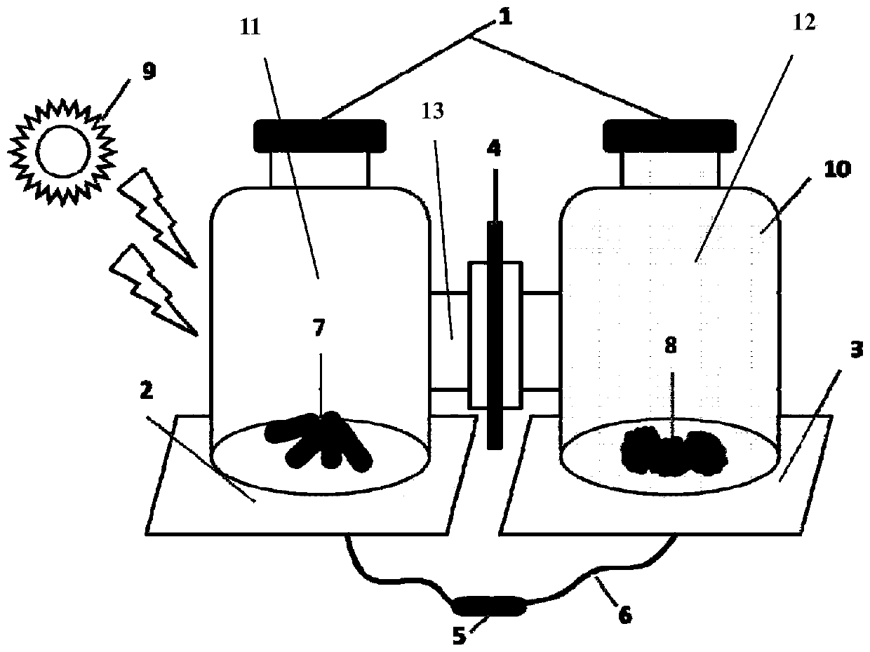 Double-chamber microbial fuel cell and preparation method thereof