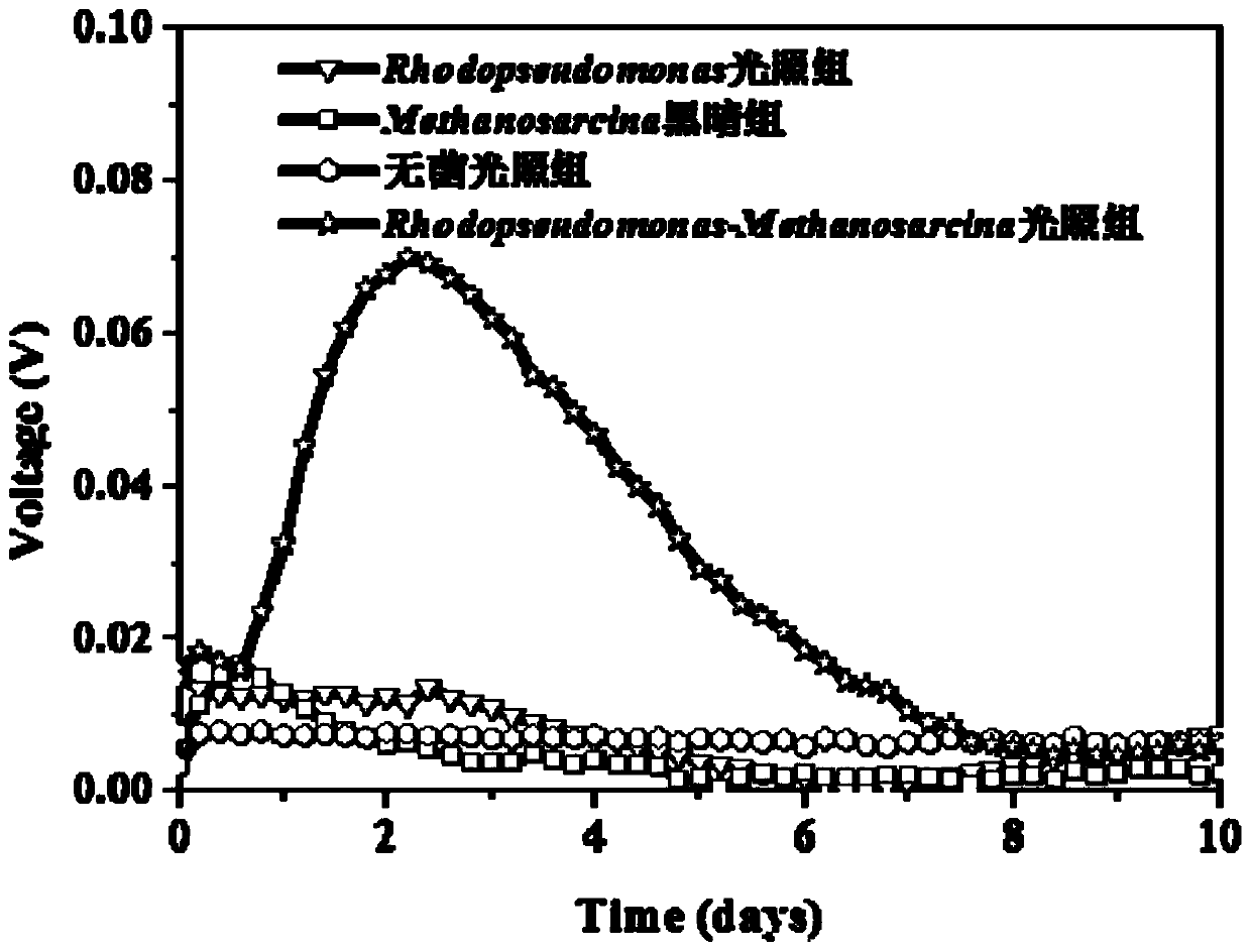 Double-chamber microbial fuel cell and preparation method thereof