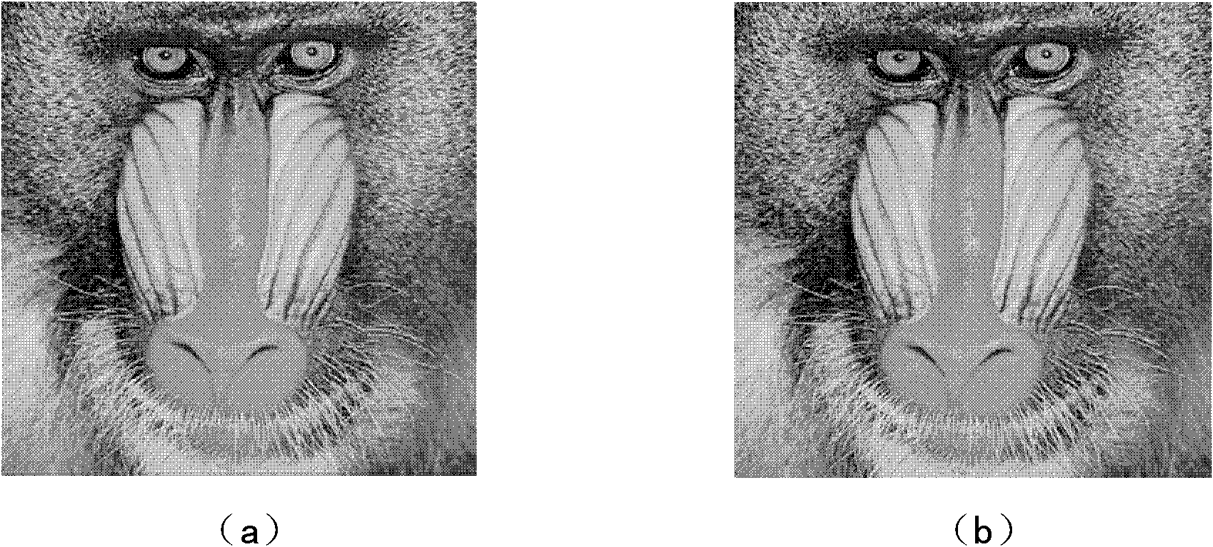 Reversible watermark method utilizing histogram shifting