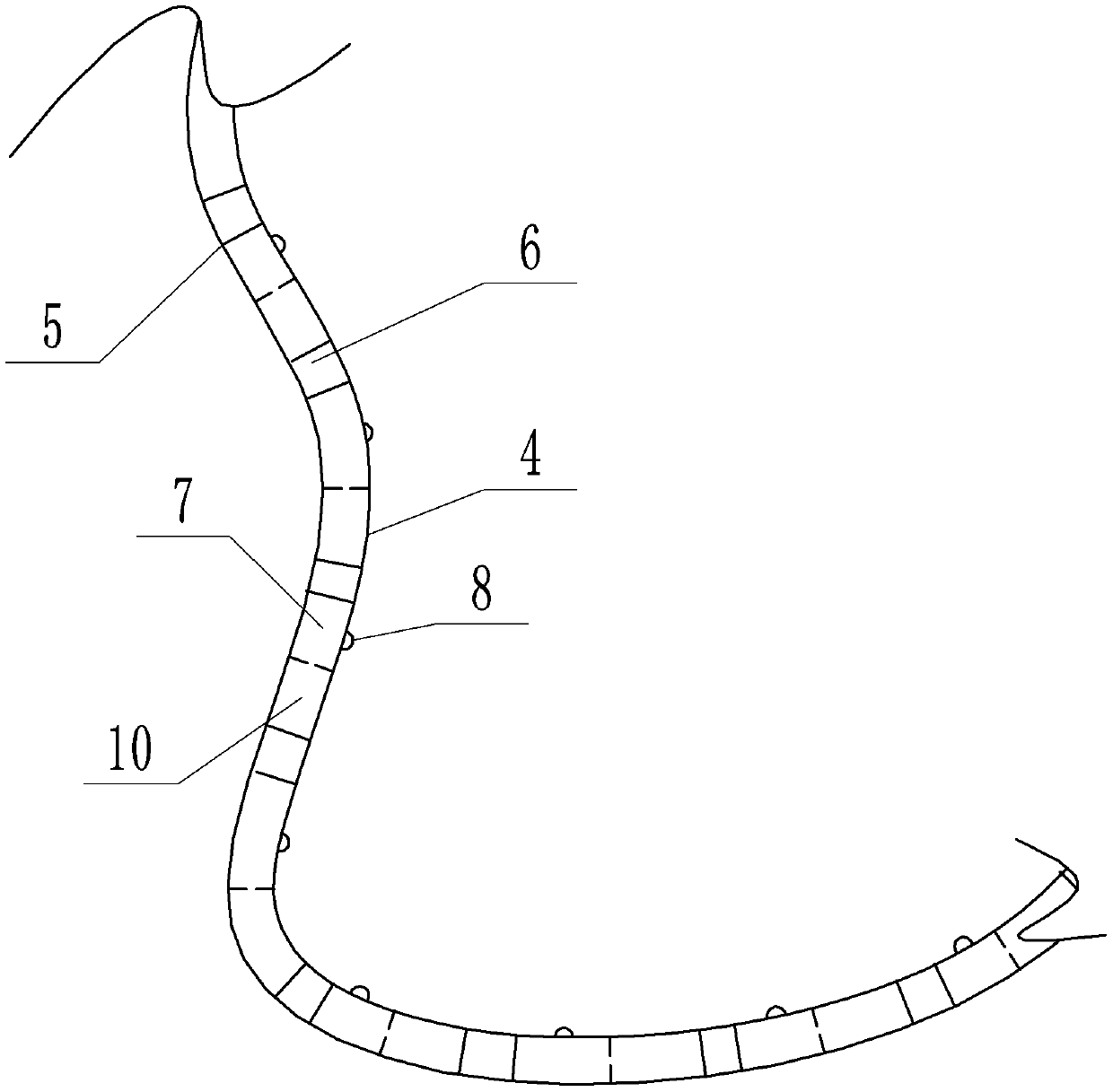 Guitar side painting device