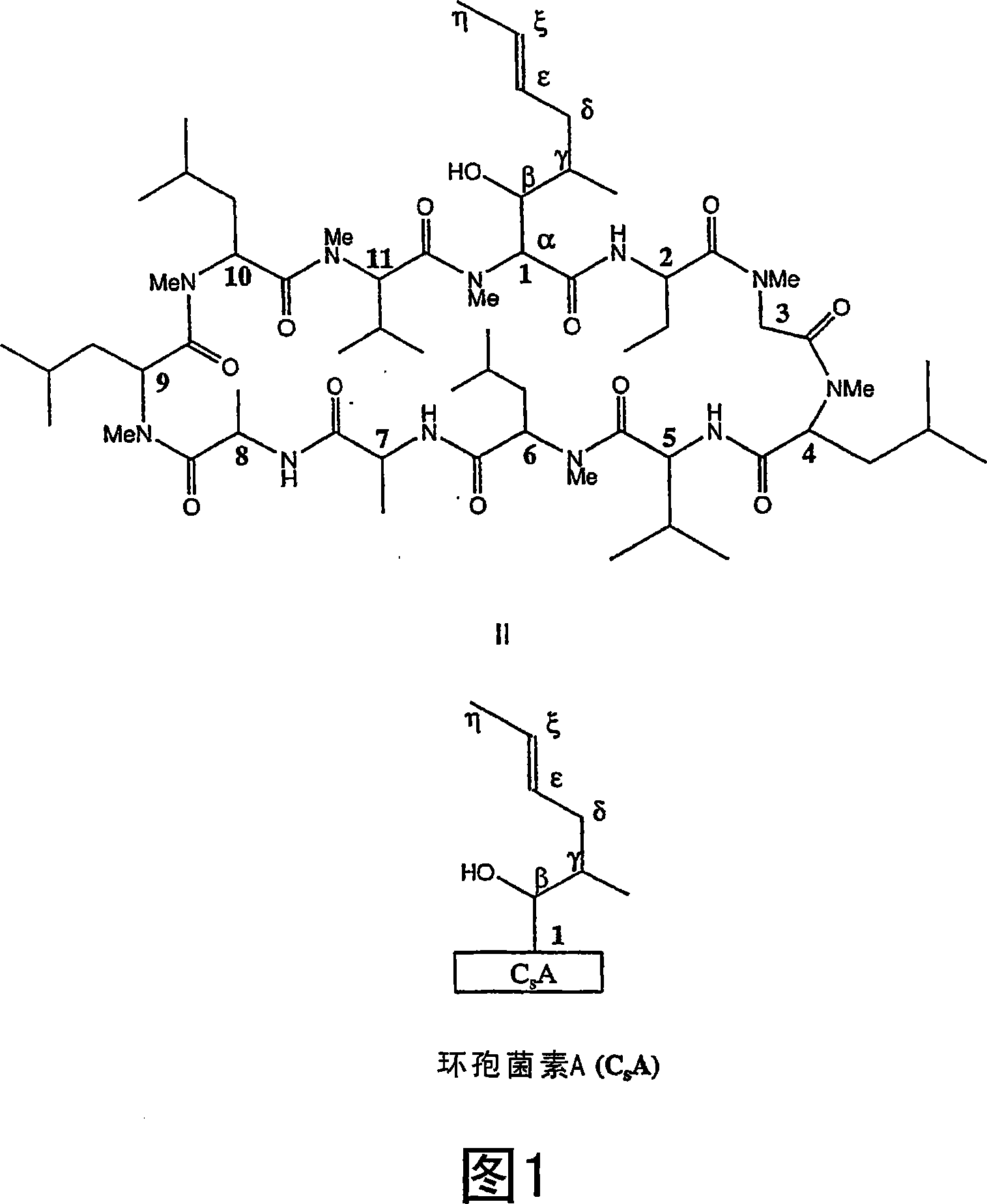 Metabolites of cyclosporin analogs