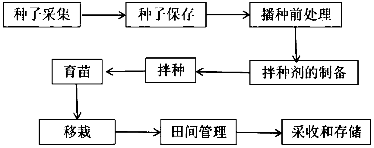 Wild angelica sinensis introduction and cultivation method