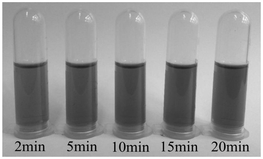 A method for preparing gold nanoparticles by utilizing Panax notoginseng extract