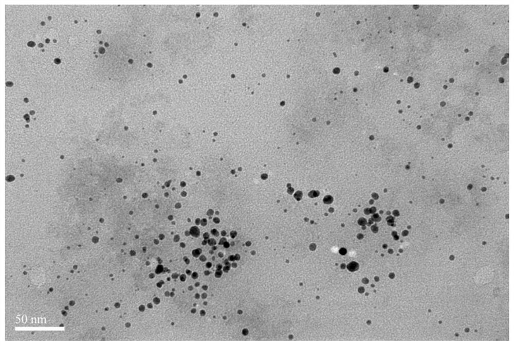 A method for preparing gold nanoparticles by utilizing Panax notoginseng extract