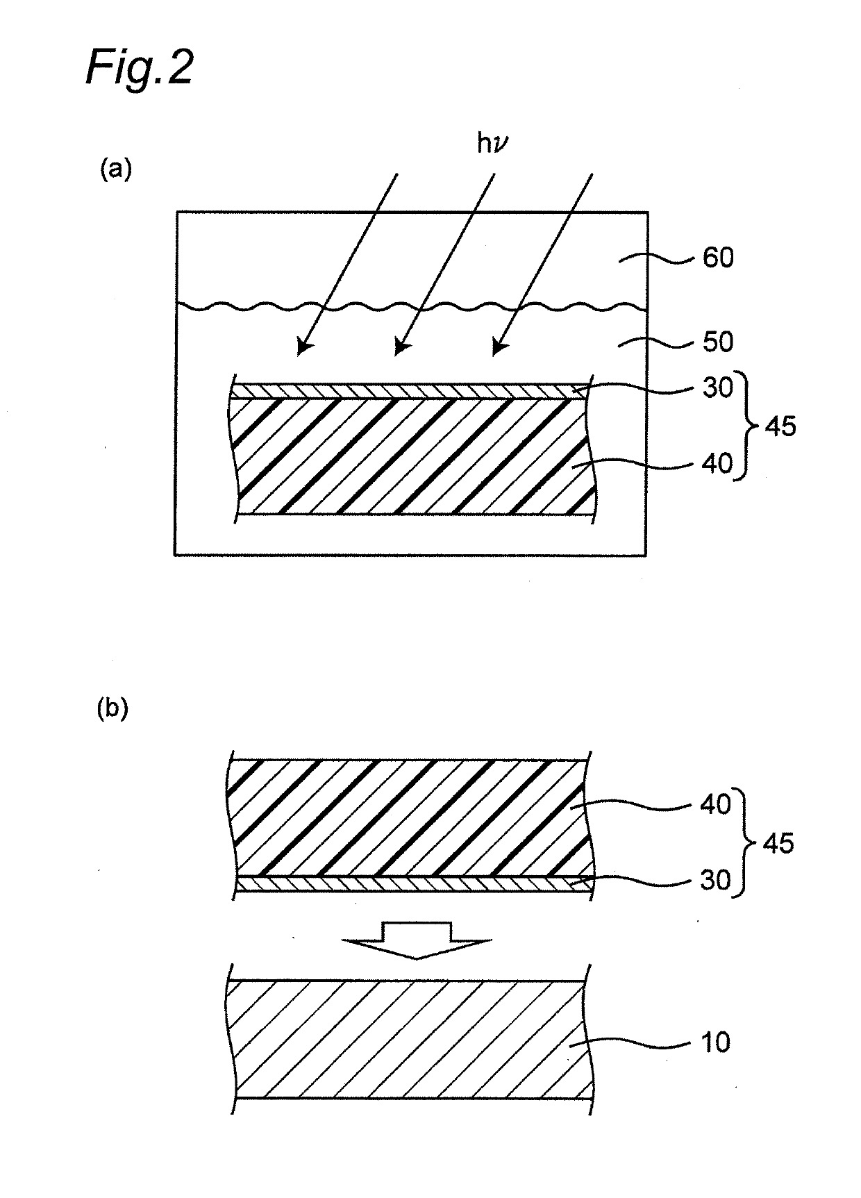 Copper Alloy Article Containing Polyester-Based Resin and Method for Producing the Same