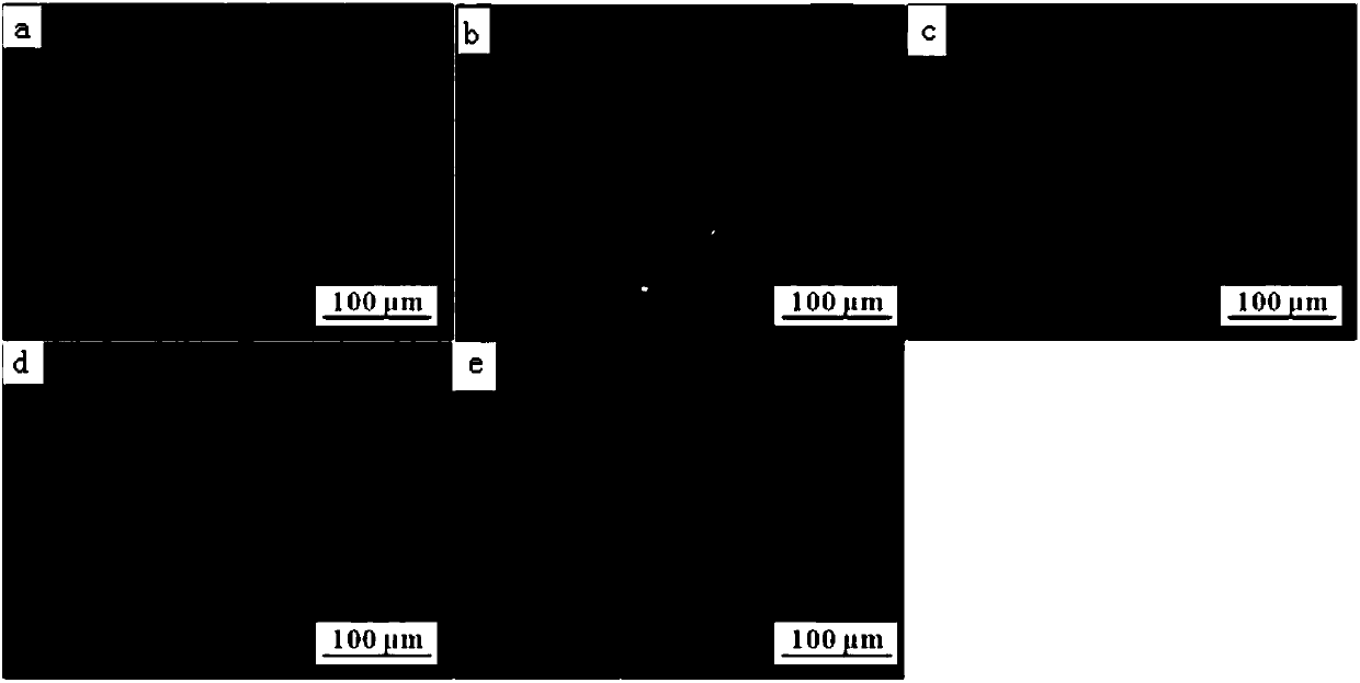 Antioxidant application of apios Americana medikus leaf polysaccharides