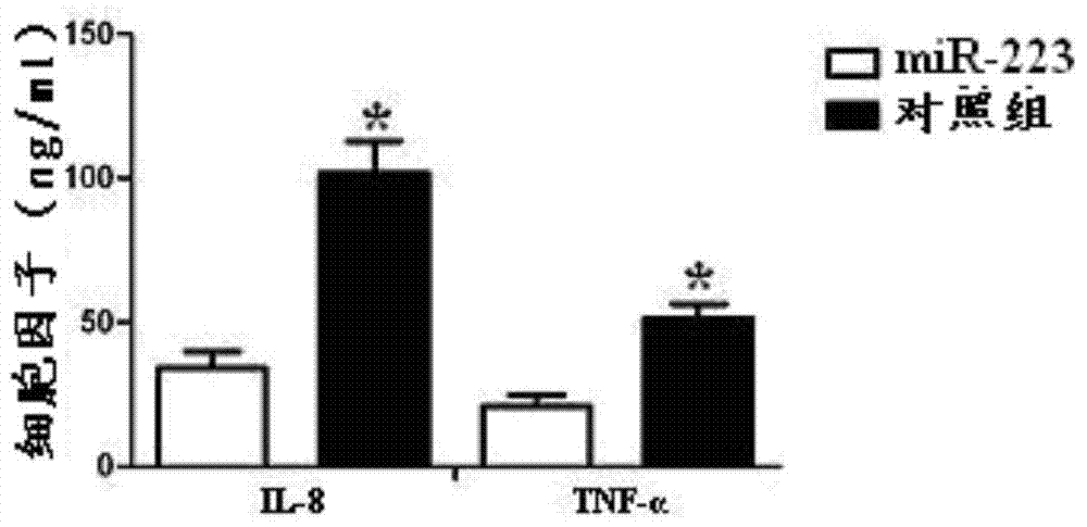 mir-223 complex targeting microglial cells and its preparation method and application