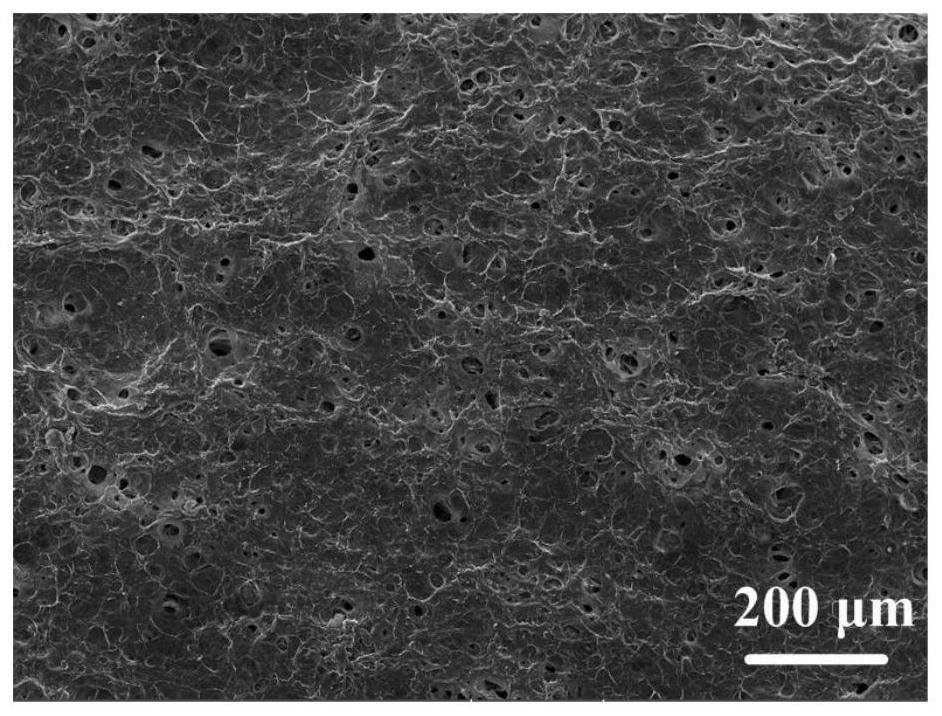 An underwater transparent porous cellulose paper-based material for cell culture and its preparation method and application