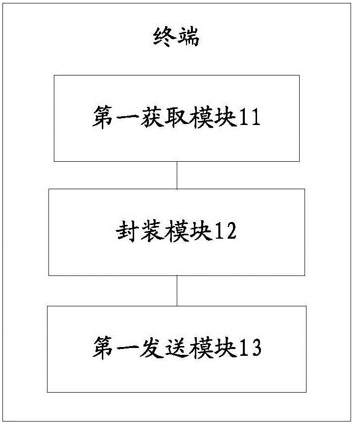Terminal, server side, and terminal access management method