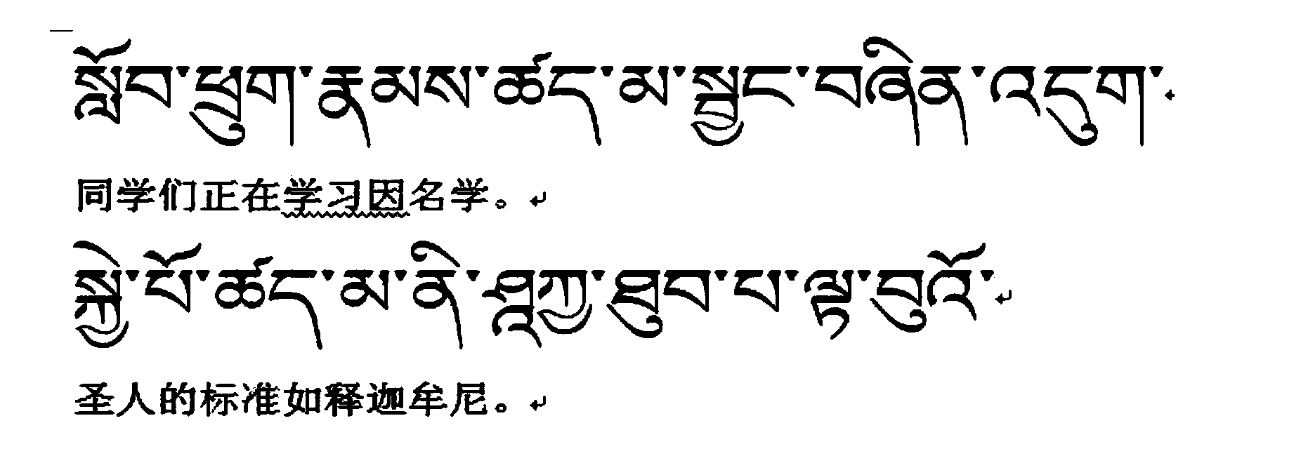 Semantic ontology creation and vocabulary expansion method for Tibetan language