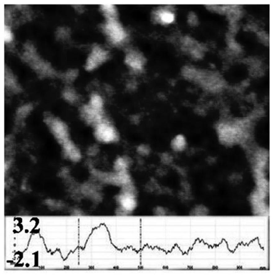 A kind of hydrophilic polypeptide monolayer film and its preparation method and application