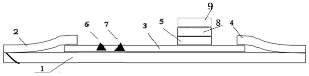 Rapid quantitative detection card for ricin