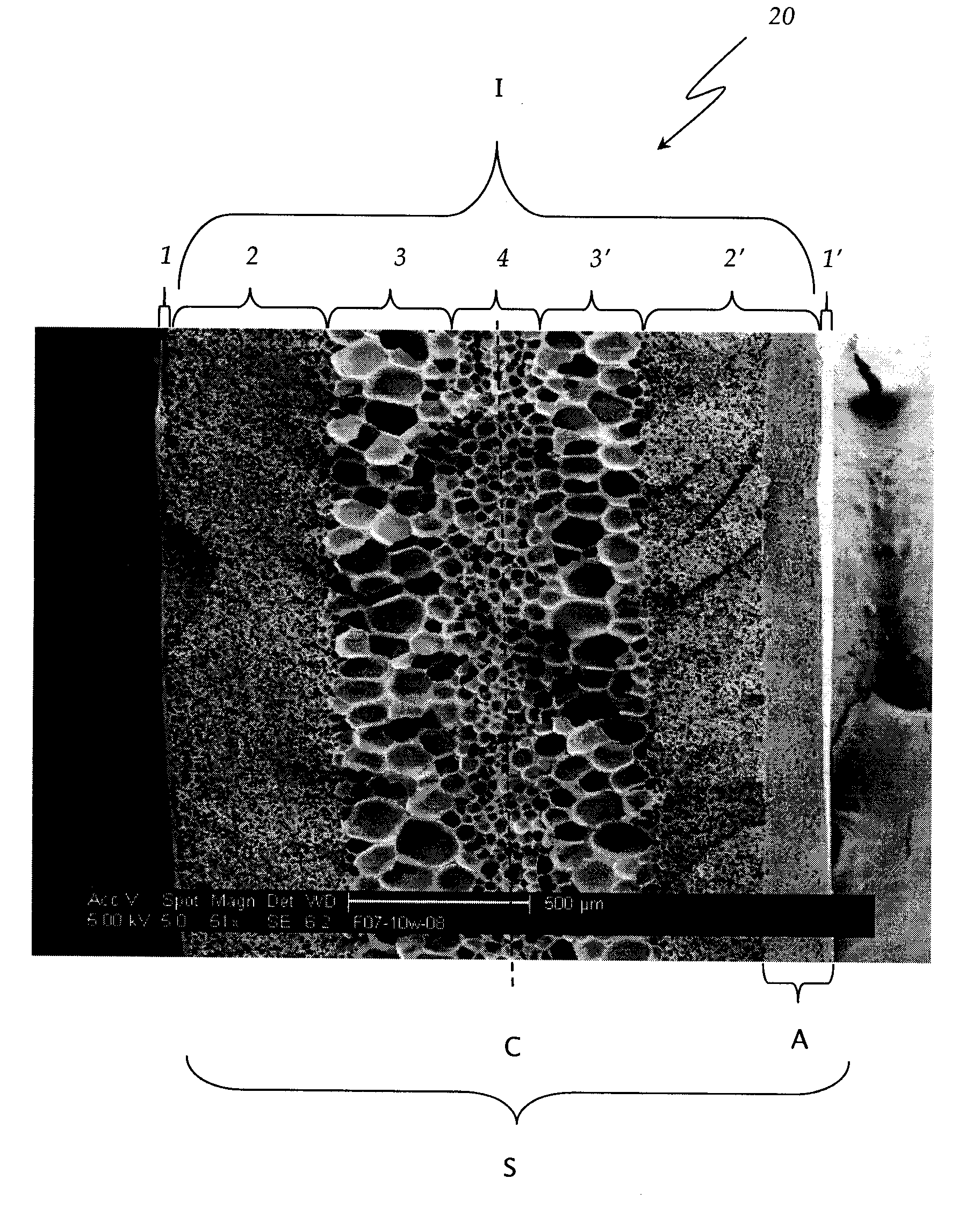 Multi-layered foamed polymeric objects and related methods