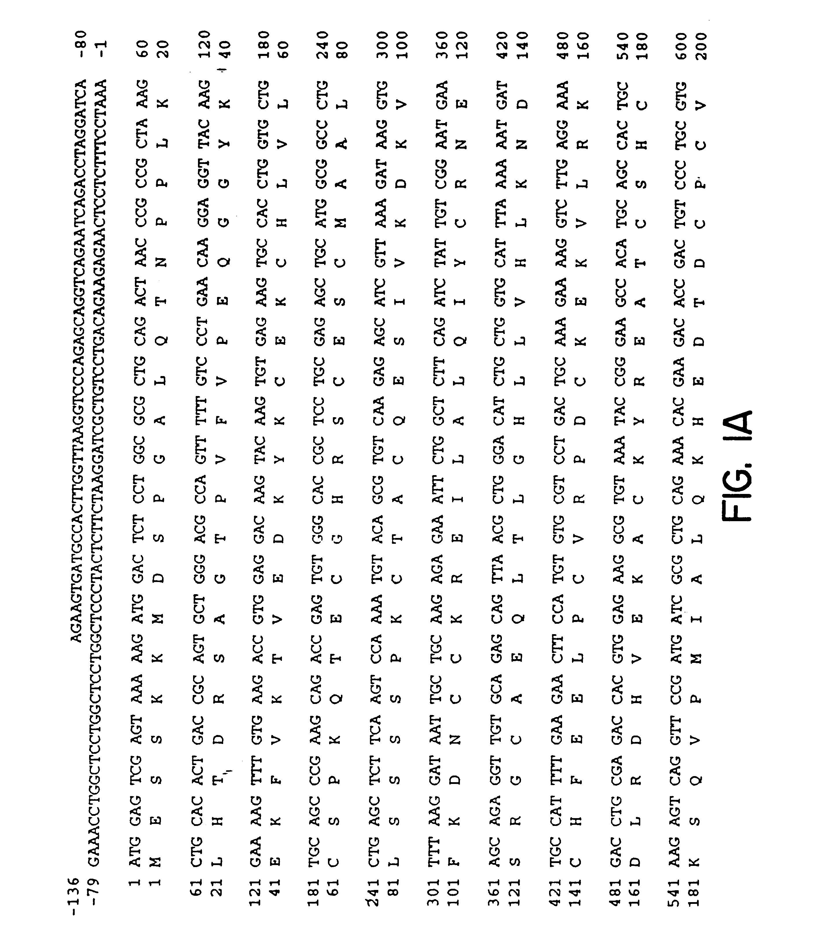 Nucleic acid encoding CD40 associated proteins