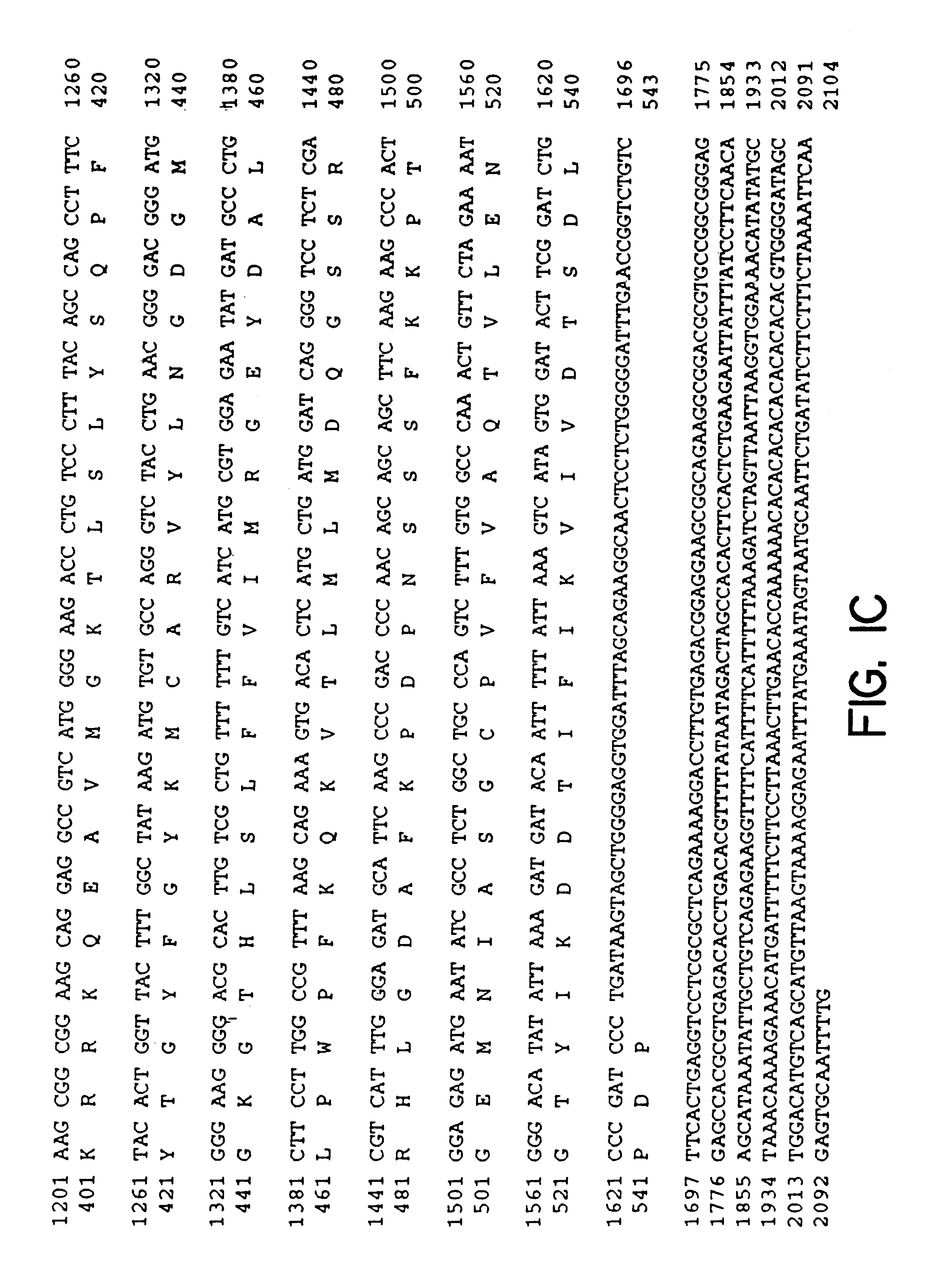 Nucleic acid encoding CD40 associated proteins