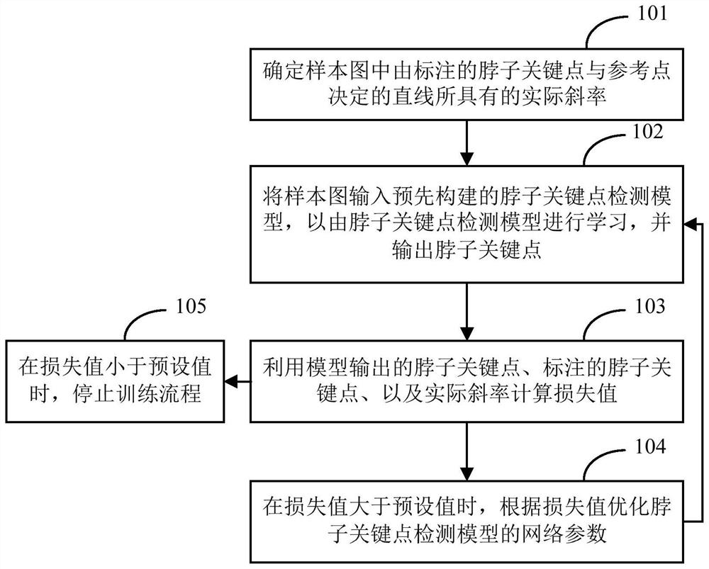 Neck key point detection method and device and detection model training method and device
