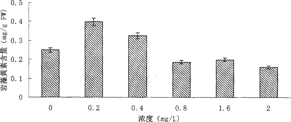 Method for increasing fucoxanthin content of Phaeodactylum tricornutum by using ammonium ceric sulfate