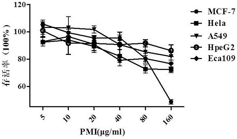 Application of peiminine for preparing drug for improving sensitivity of tumor cells to chemotherapy drugs