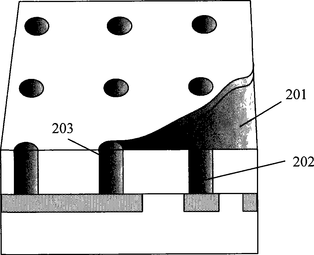 Chemical-mechanical grinding device and chemical-mechanical grinding method