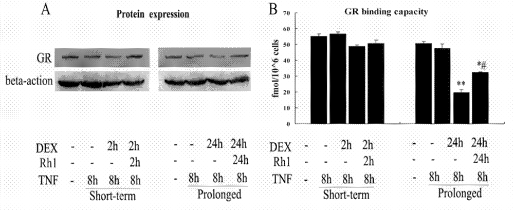 Application of ginsenoside Rh1 in preparation of drugs for improving glucocorticoid resistance