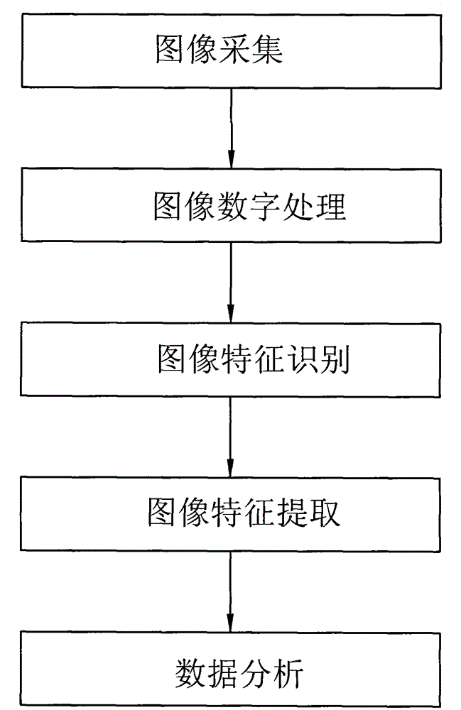 The Method of Data Processing Using the Digital Camera Rudder Angle Acquisition and Analysis System