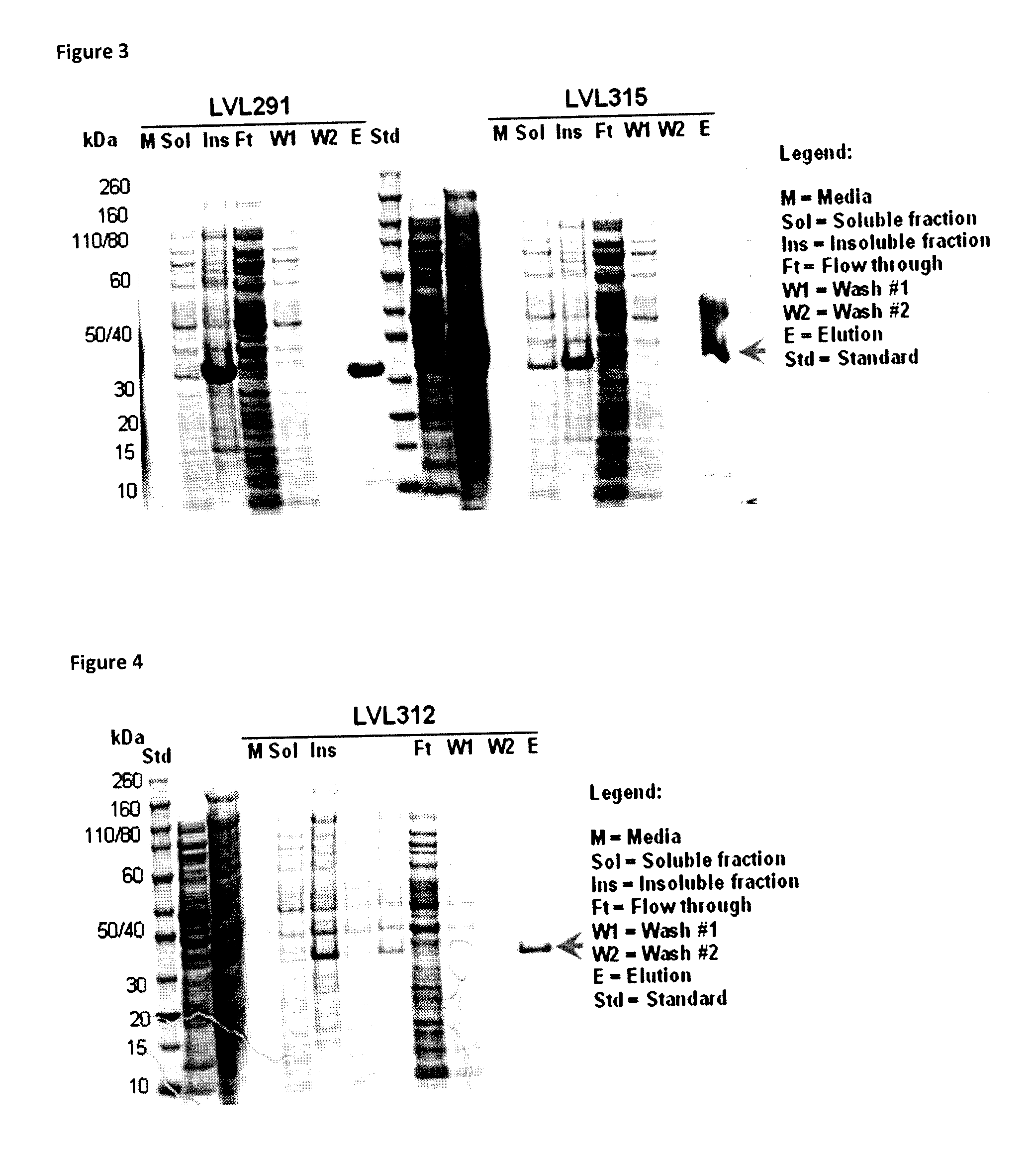 Fusion proteins and combination vaccines comprising haemophilus influenzae protein e and pilin a