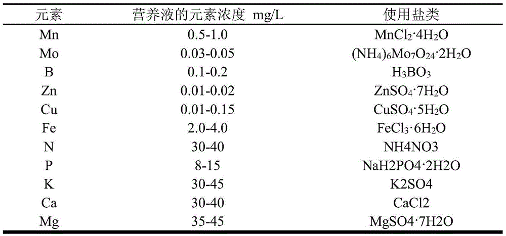 Method for reducing cadmium content of rice seedling leaves, and rice seedling nutrient solution
