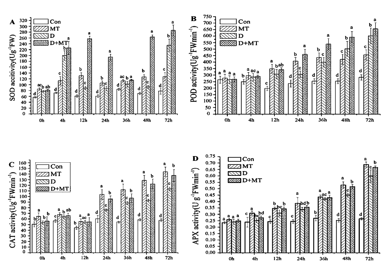 Influence of melatonin on hulless oat seedlings under drought stress