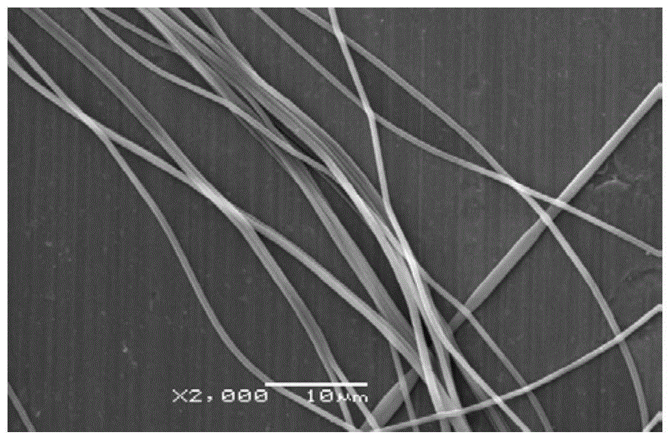 Method for extracting and preparing lignin composite nano fibers in situ