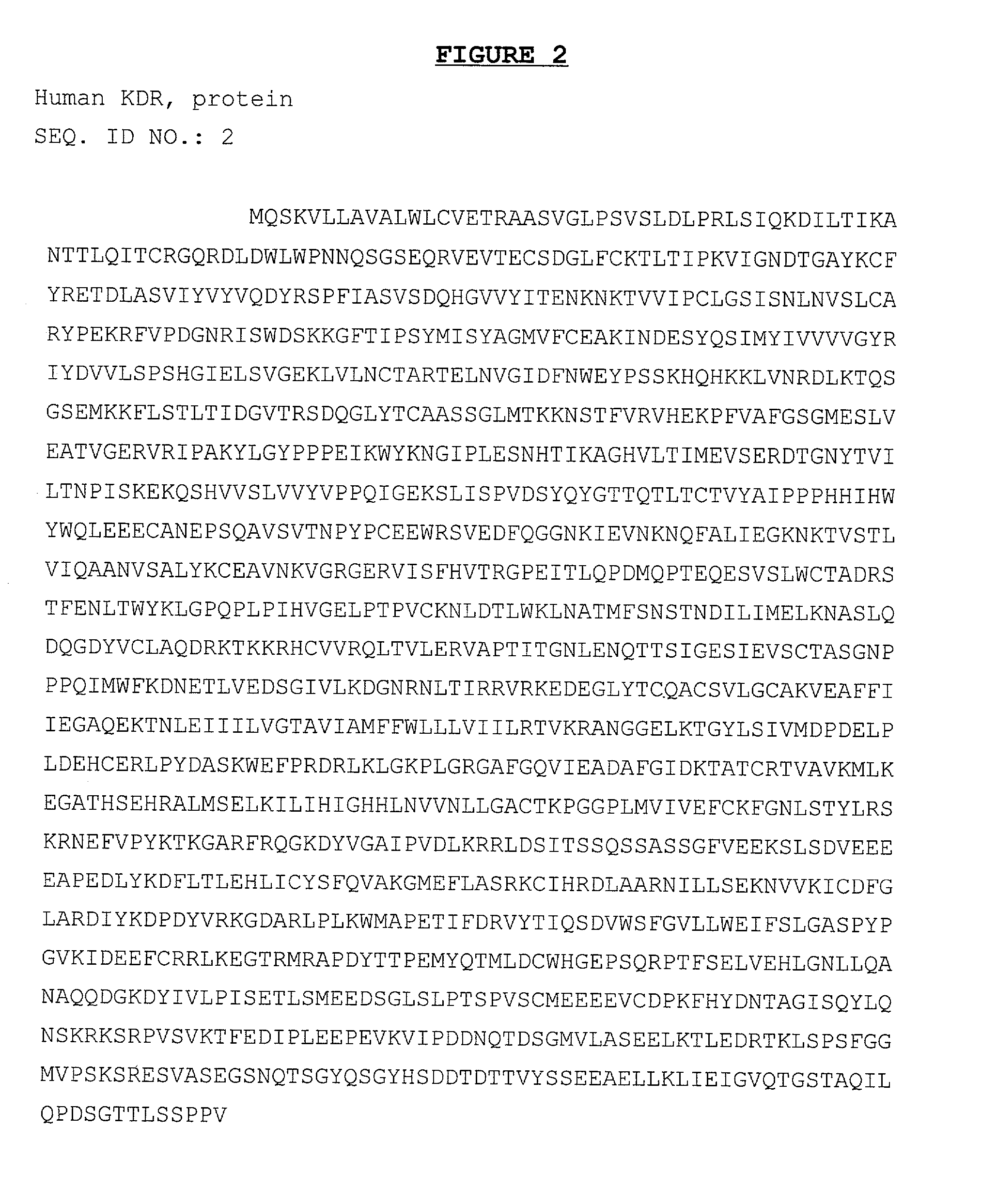 DNA vaccine against proliferating endothelial cells and methods of use thereof