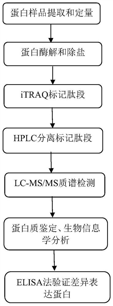 Application of FLNA, FBLN1 and TSP-1 as markers in preparation of asbestos-related disease detection kit