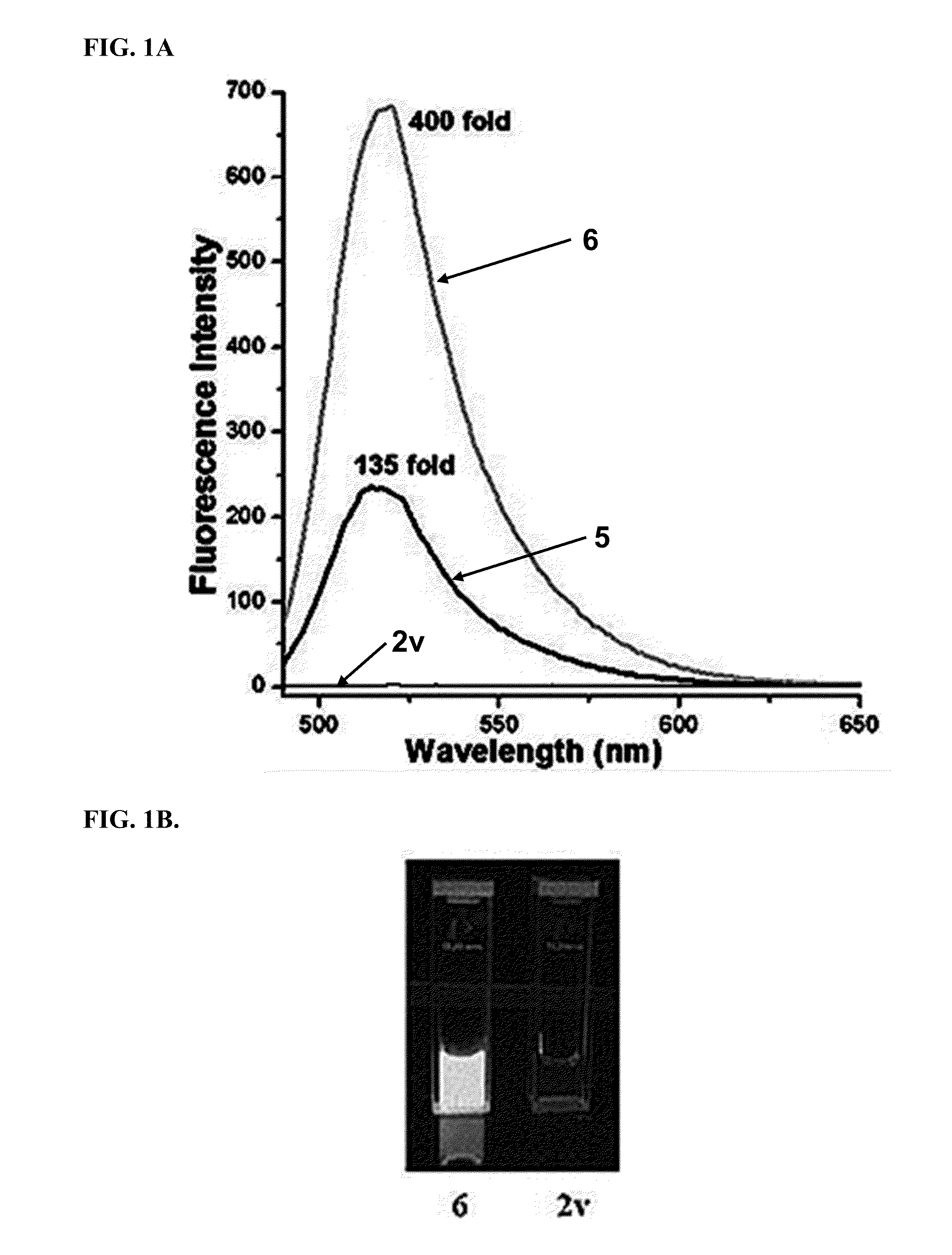 Tetrazine-containing compounds and synthetic methods thereof