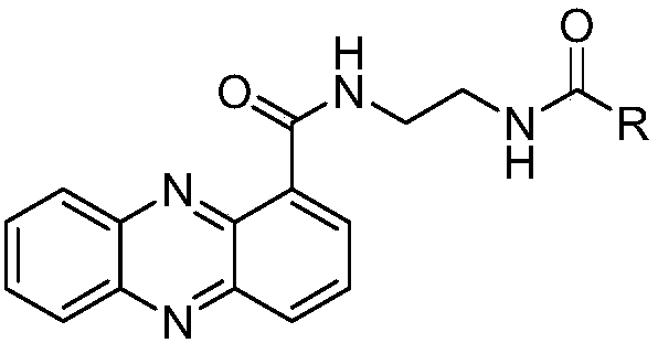 Phenazine-1-carboxylic acid bisamide compounds and application thereof