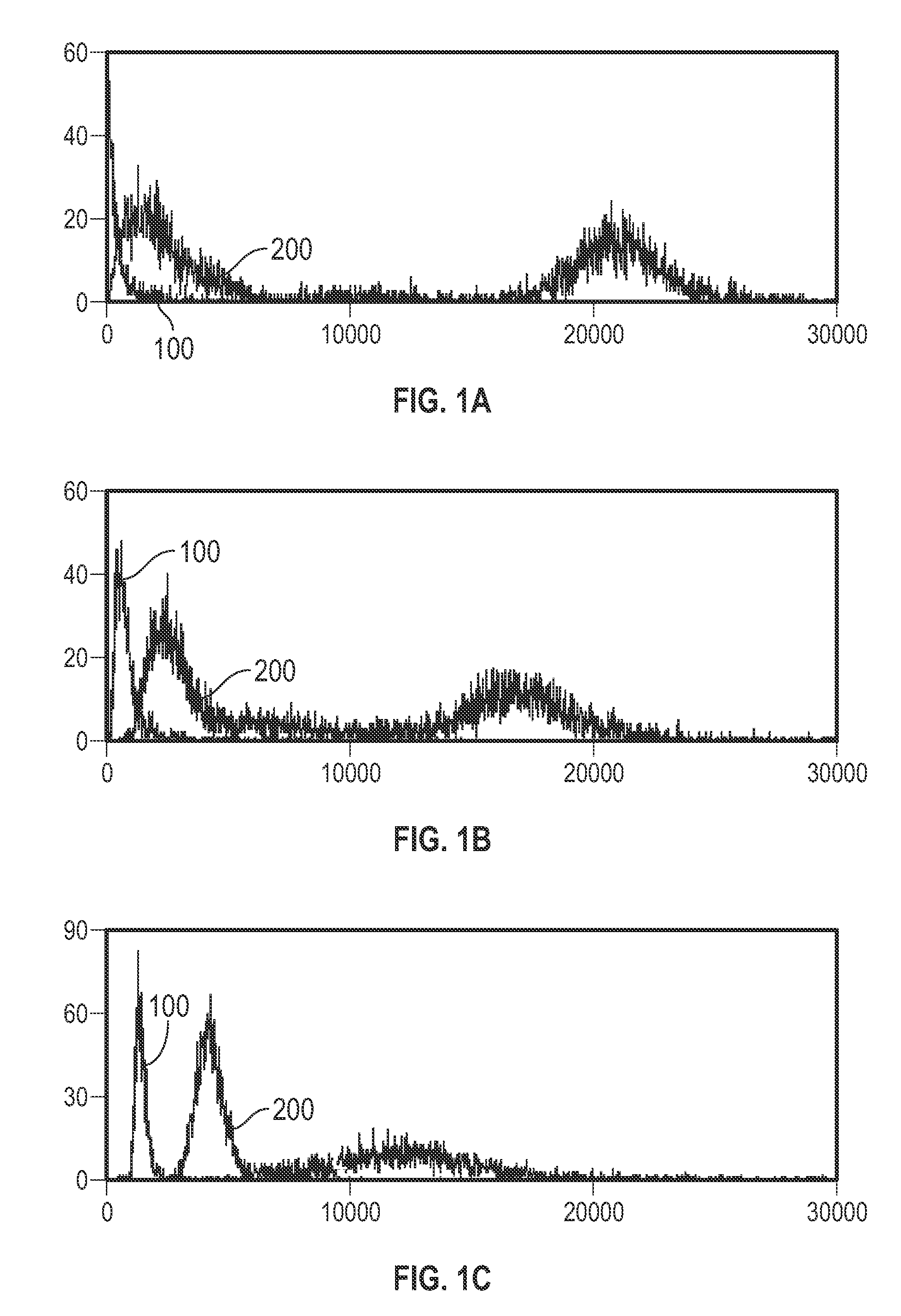 White Blood Cell Analysis System and Method
