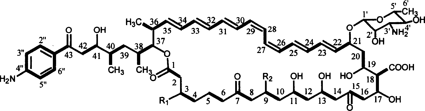 Heptaene macrolide polyketone antibiotic FR-008 compound