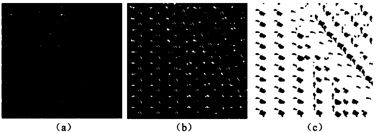 Three-dimensional texture pattern synthesis method based on dragonfly vision imaging model setting
