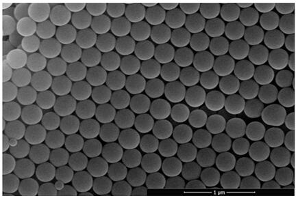 Preparation method and application of myclobutanil molecularly imprinted inverse opal photonic crystal hydrogel sensor