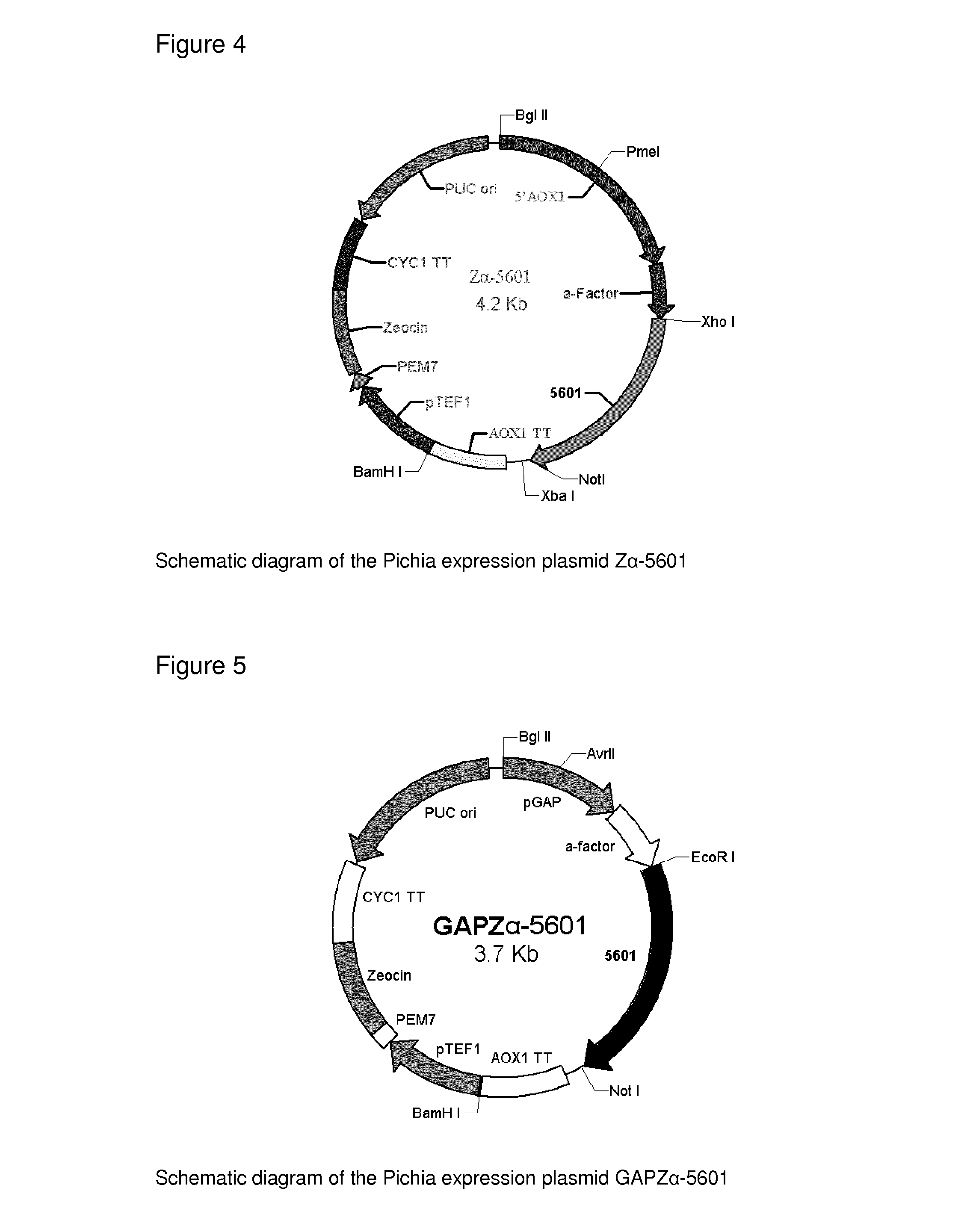 Method for producing oxalate oxidases having activity optimum near physiological ph and use of such recombinant oxalate oxidases in the treatment of oxalate-related diseases