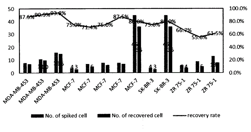Method and kit for separating rare cells from peripheral blood