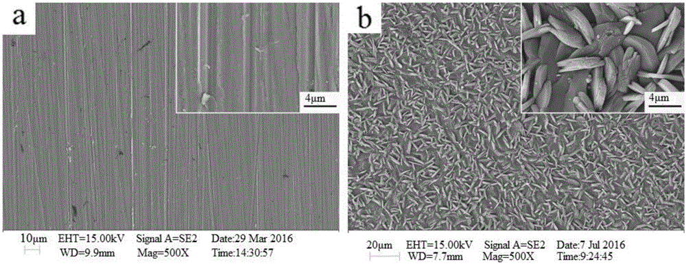 Preparation method for inducing titanium or titanium alloy surface chemical conversion film by virtue of electric coupling
