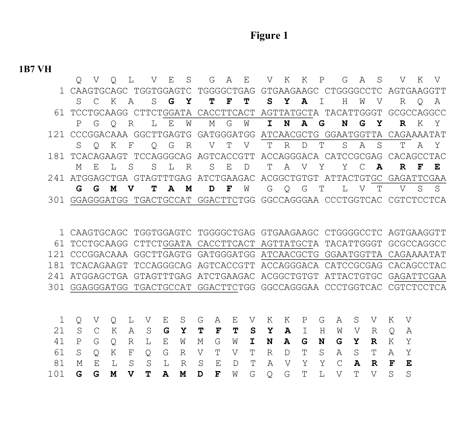 Human monoclonal antibodies to ganglioside gd2