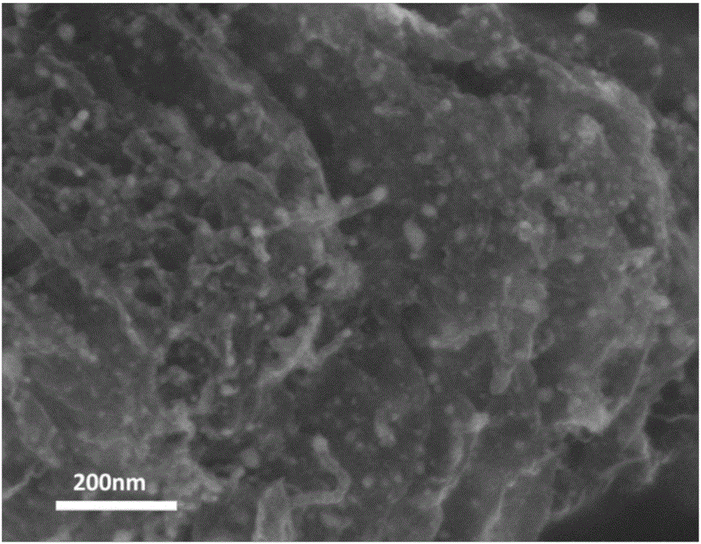 Composite material of nanoscale cobalt based particles and nitrogen doped carbon, synthetic method and application