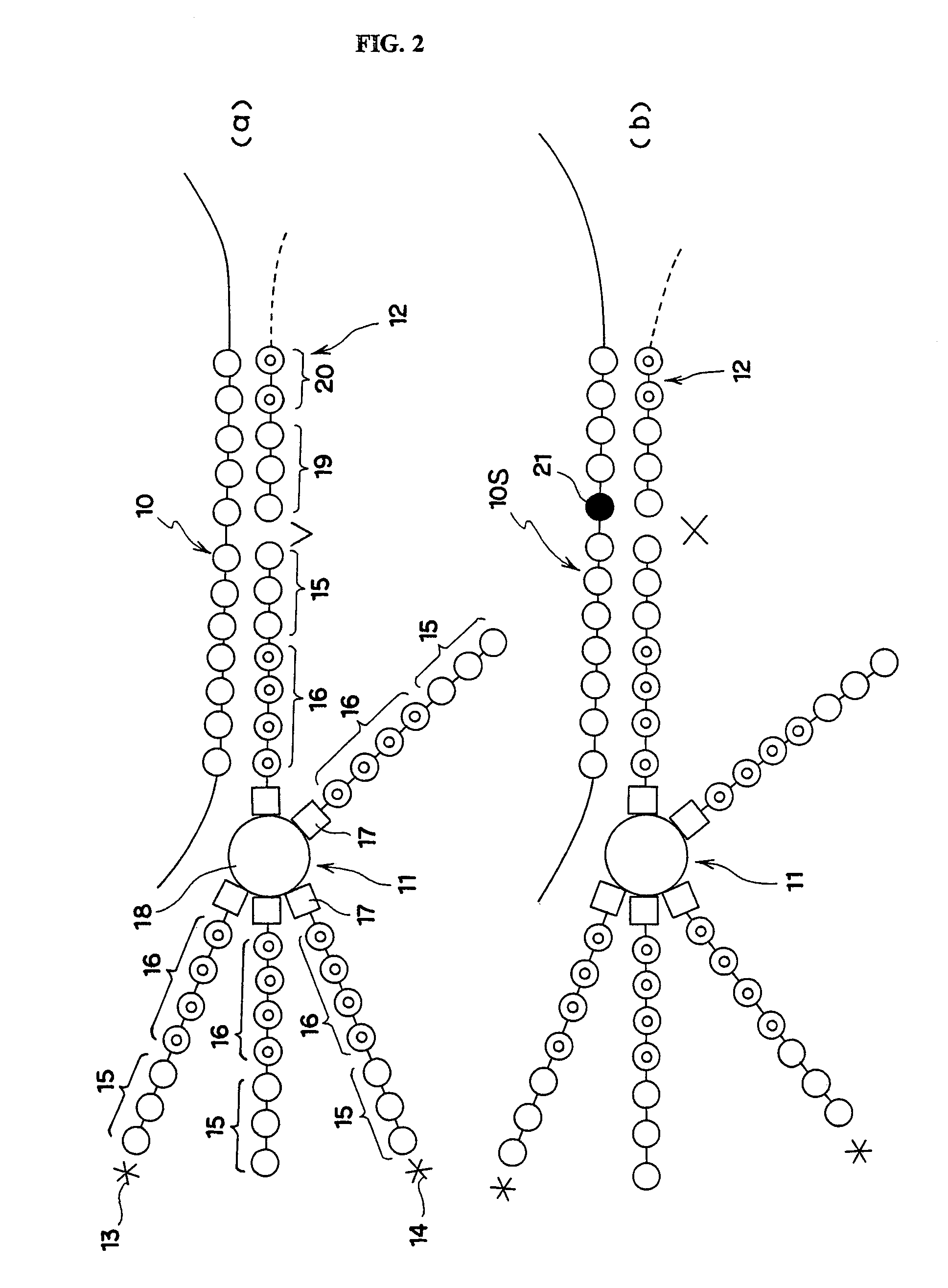 Suspension for determining sequence of genetic materials, method of determining the sequence of genetic materials by using same, and method for high-speed scoring SNPs