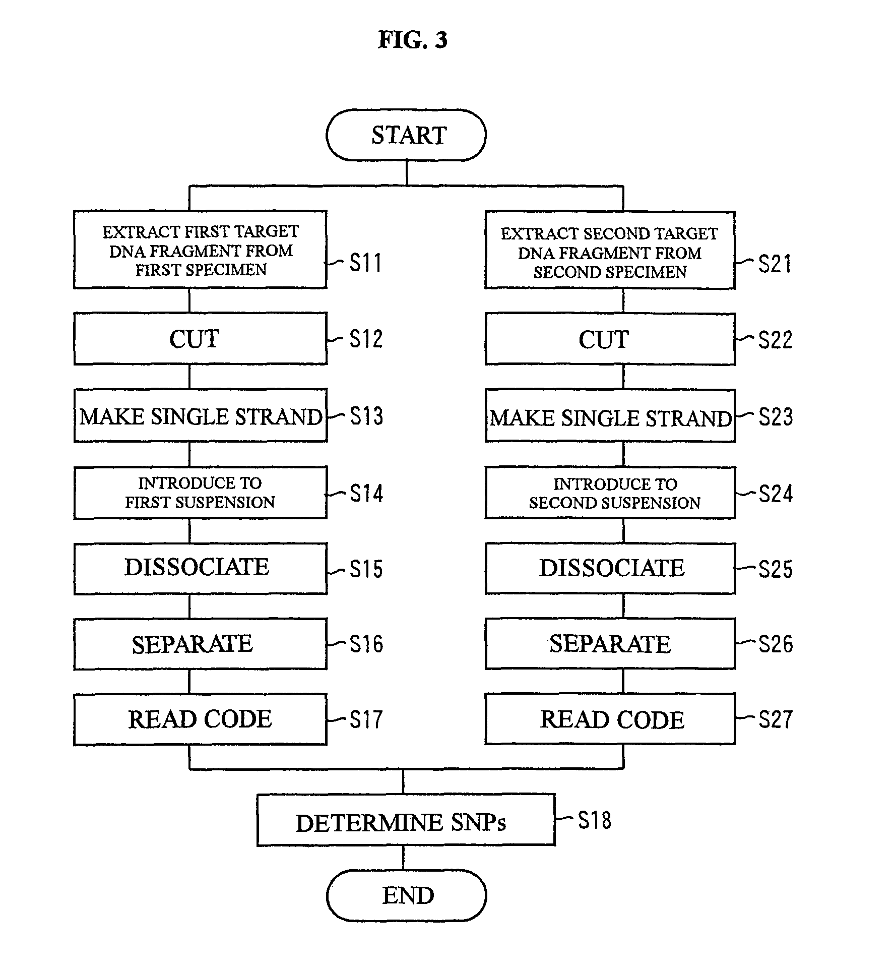 Suspension for determining sequence of genetic materials, method of determining the sequence of genetic materials by using same, and method for high-speed scoring SNPs