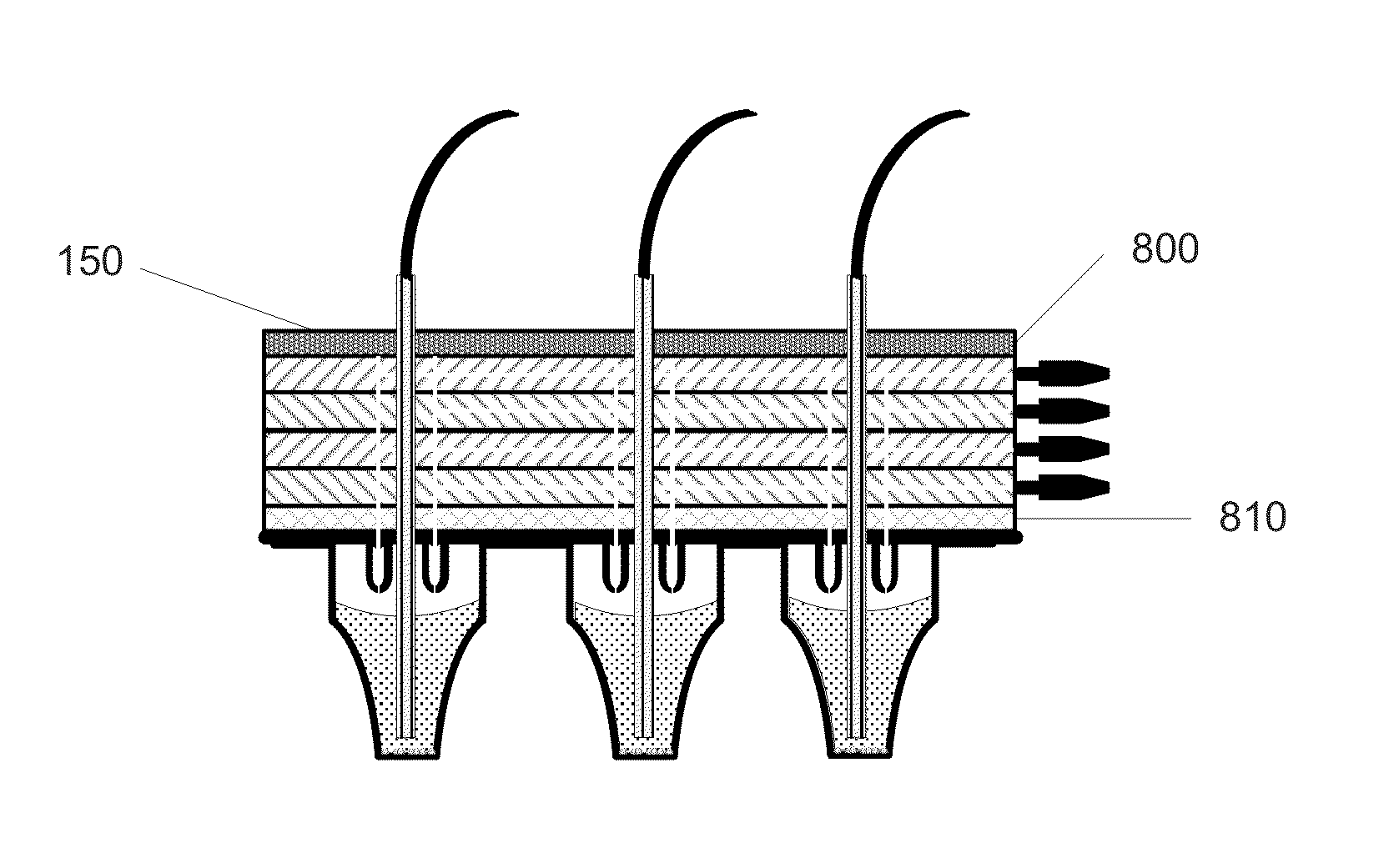 Cell analysis apparatus and method