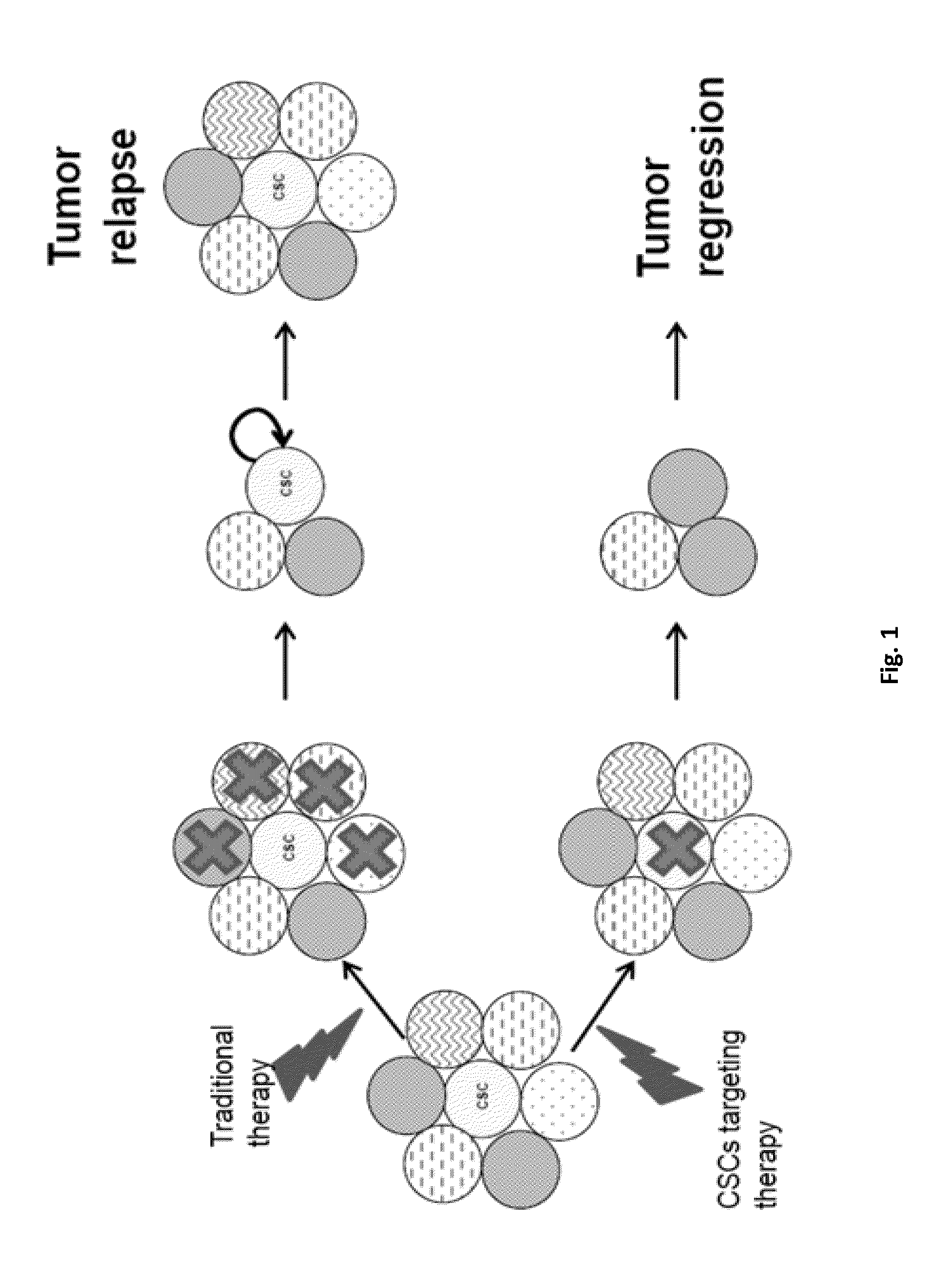 Method For Treating Breast Cancer By Targeting Breast Cancer Stem Cell